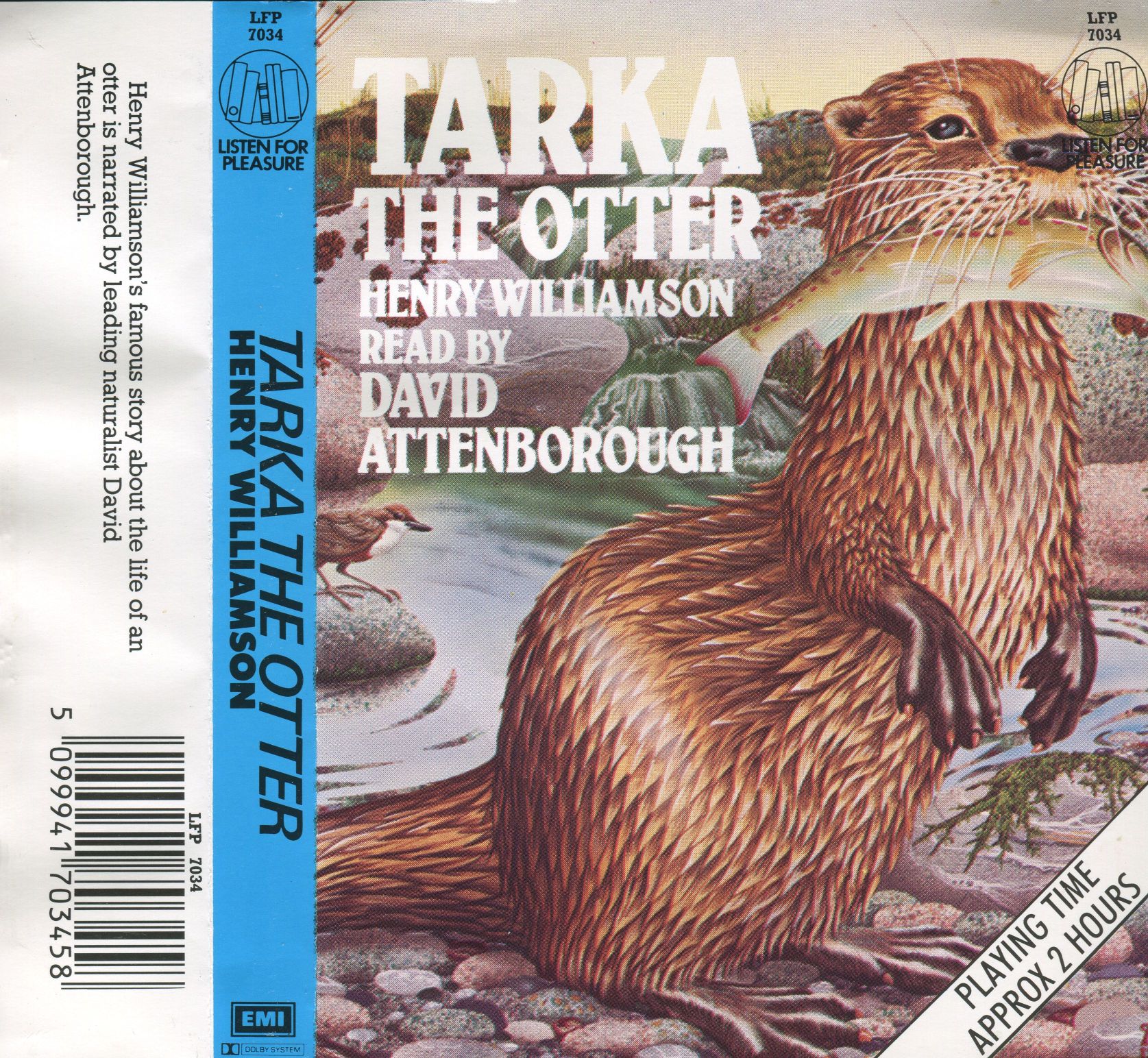 tarka cover